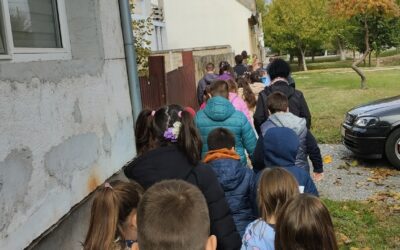 ДАН ПЕШАЧЕЊА