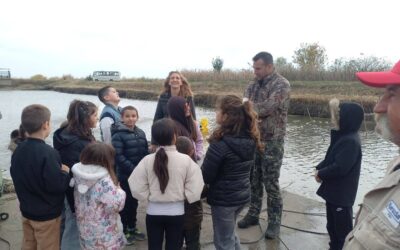 ЗА ЧИСТИЈЕ И ЗЕЛЕНИЈЕ ШКОЛЕ У ВОЈВОДИНИ