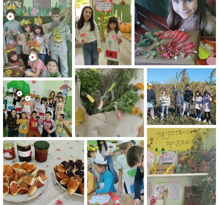 СРЕЋНО УЧЕЊЕ – 6. ЗАДАТАК