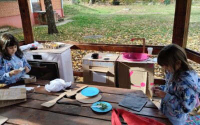 ЗА ЧИСТИЈЕ И ЗЕЛЕНИЈЕ ШКОЛЕ У ВОЈВОДИНИ – РЕЦИКЛАЖА