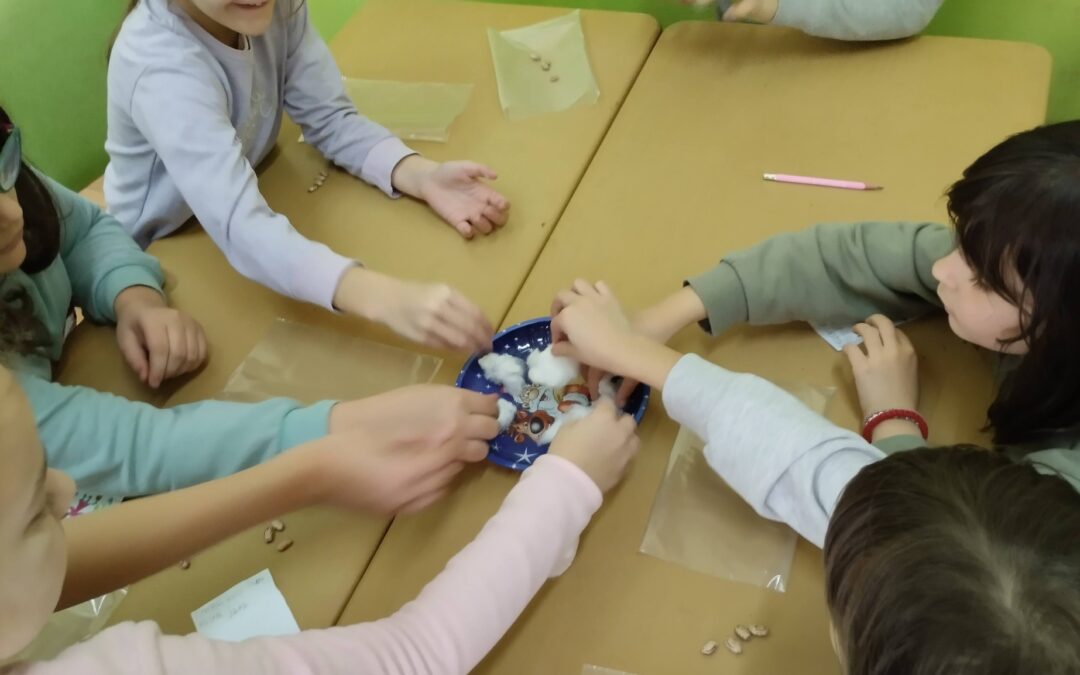 ЧАРОБНИ ПАСУЉ-ГЛЕДАЈ КАКО РАСТЕМ