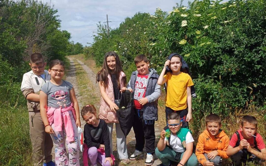 ДАН У ПРИРОДИ